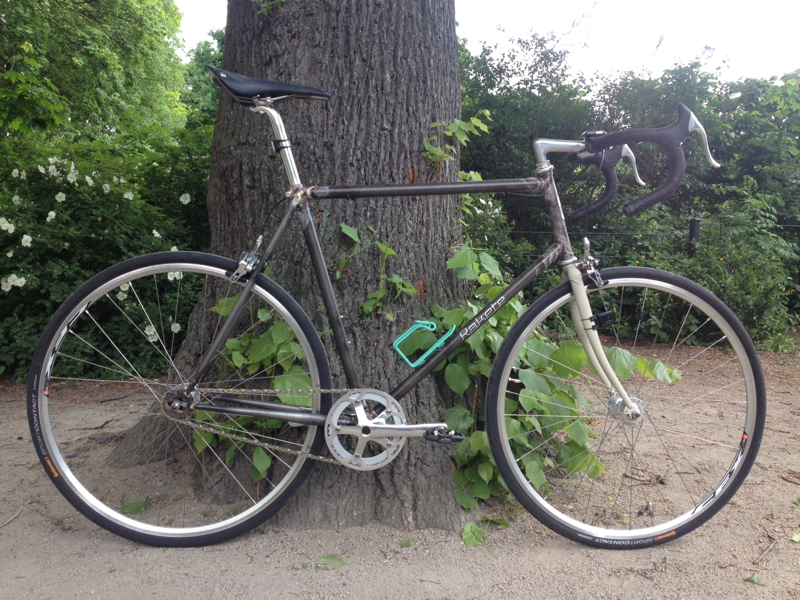 single speed randonneur